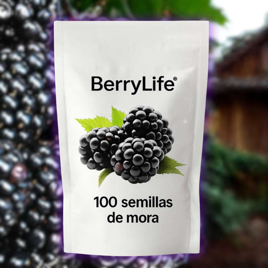 100 SEMILLAS DE MORA